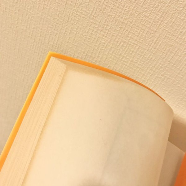 画像4: 【USED BOOK】・「自殺うさぎの本」アンディ ライリー (4)