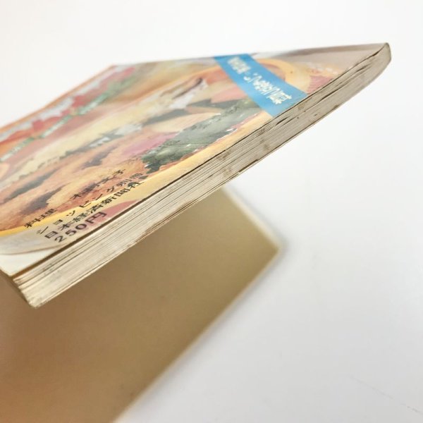画像11: 【USED BOOK】・古書　ひき肉料理180種　＋　みんなのおべんとう　2冊SET (11)