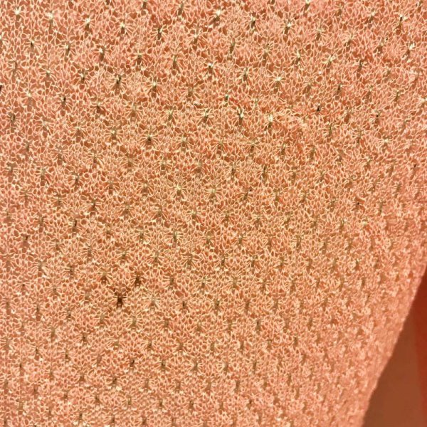 画像6: 【VINTAGE】・キラキラアラビアン風パンツ　ピンク (6)