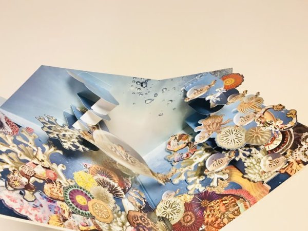 画像5: 【USED BOOK】・松任谷由実 POP CLASSICO 2013-2014 ツアーパンフレット (5)