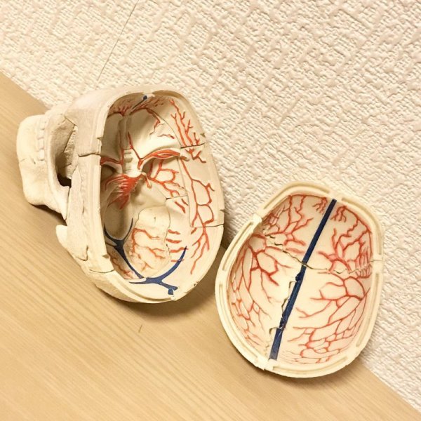 画像4: 【USED】・髑髏フィギュア (4)