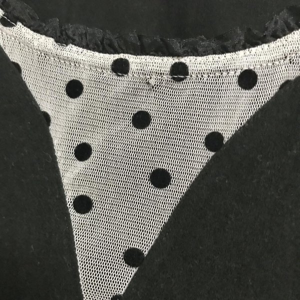 画像5: 【USED】・Le salon d’Y./ドットチュールトップス　ブラック (5)