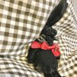画像5: ノーブランド・黒うさぎブローチ (5)