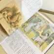 画像5: 図説　英国レディの世界 (5)