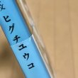 画像6: 【USED BOOKS】・ヒグチユウコ「いらないねこ」 (6)