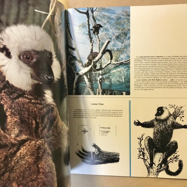 画像3: 【USED BOOK】・洋書　San Diego Zoo Colorful World of Animals (3)