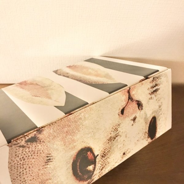 画像6: あちゃちゅむムチャチャ ahcahcum-muchacha/うさぎ空き箱 (6)