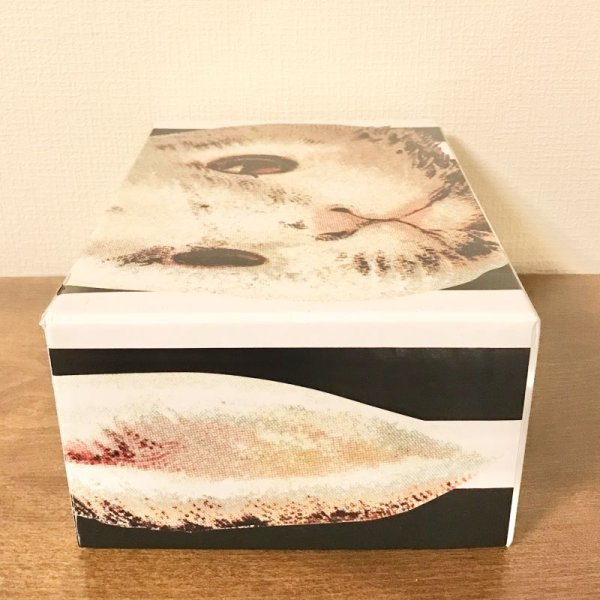 画像3: あちゃちゅむムチャチャ ahcahcum-muchacha/うさぎ空き箱 (3)