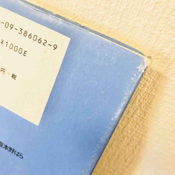 画像5: 【USED BOOK】・嶽本 野ばら 「ミシン」 (5)