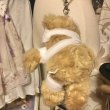 画像5: 【USED】・リメイクぬいぐるみストラップ　ぼろぼろ傷くまちゃん (5)