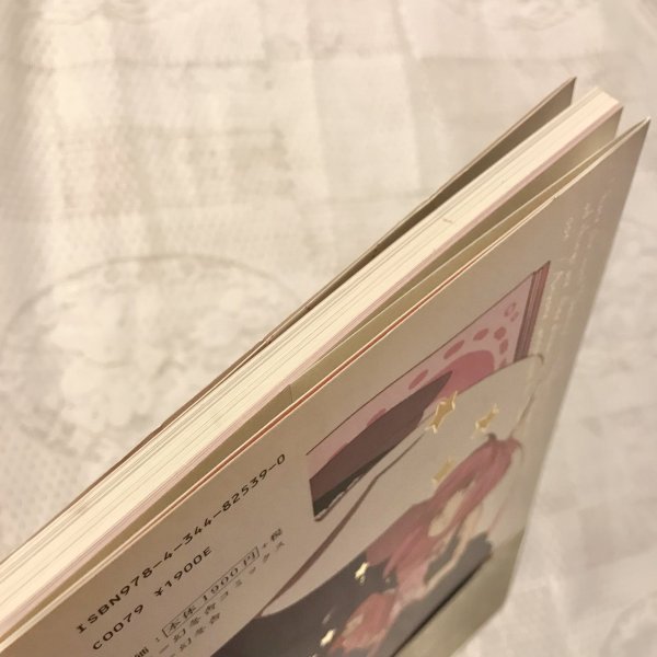 画像10: 【USED BOOK】・輪るピングドラム 星野リリィ アートワークス (10)