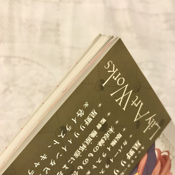 画像14: 【USED BOOK】・輪るピングドラム 星野リリィ アートワークス (14)