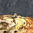 画像5: 【USED】・少女主義的水彩画家　たま Tama イラストブローチ (5)