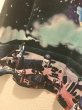 画像3: 【USED】・TOKYO Disney RESORT/Aladdin アラビアンコーストTシャツ　M (3)